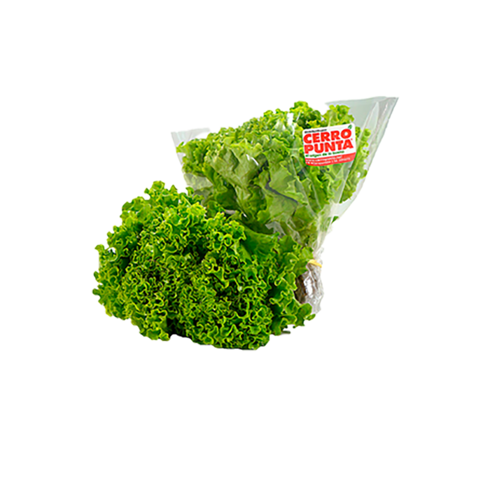 Cerro Punta Lechuga Empacada por Kilo - Super 99