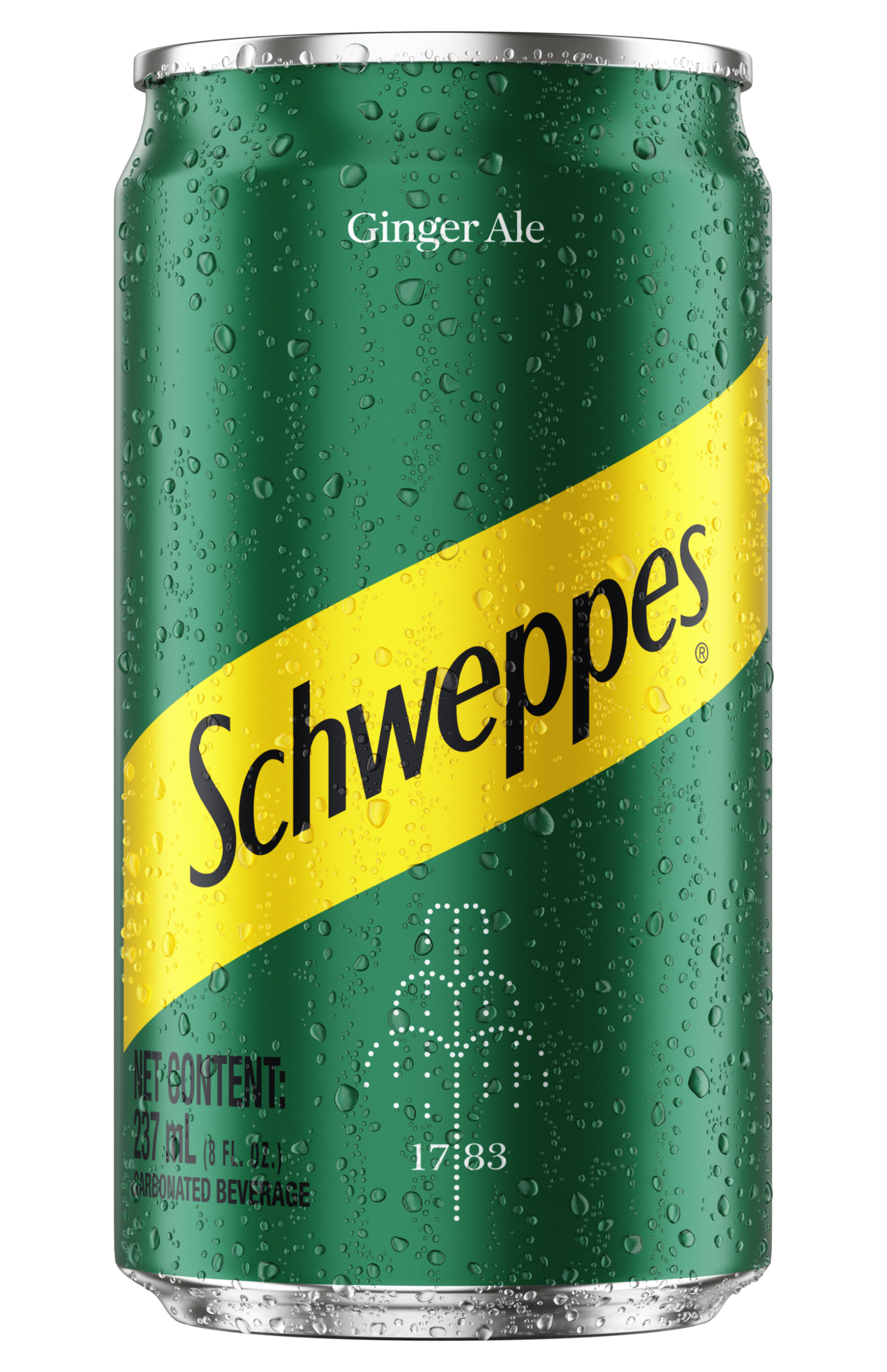SCHWEPPES GINGER ALE MINILATA 12/237ML